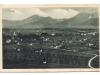 polzela_0005