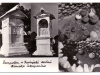 sempeter_0020