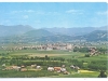 zalec_010