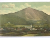 zalec_012