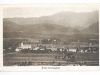 zalec_013
