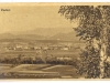 zalec_016