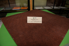 BioThoInsHme_05