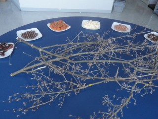 vecer_japonske_kulture_2012-3