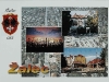 zalec_079