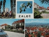 zalec_084