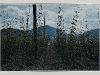 zalec_110