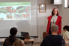 Balkonske-zasaditve-2