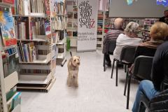 IMG-8aaf9e4453ffd5d160898b4ddc355a51-V