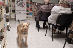 IMG-e0b1dcad0201a0f0a3c16a57e9c40d85-V