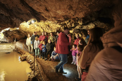 IMG_20250927_123354 IMG_20250927_123354