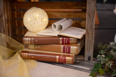 Knjiznica-Feri-Lainscek-2026-4-of-82