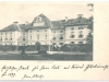 zalec_031